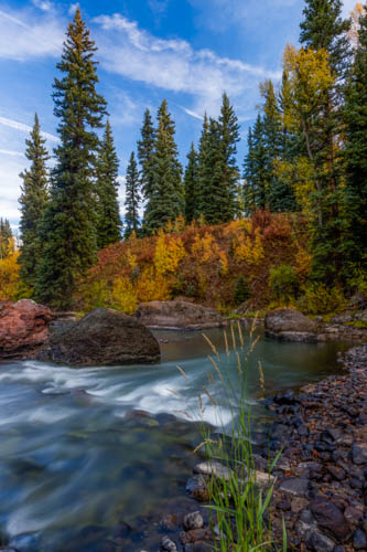 Colorado Stream in Fall
